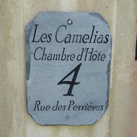 Les Camelias Bed and Breakfast Binic Εξωτερικό φωτογραφία