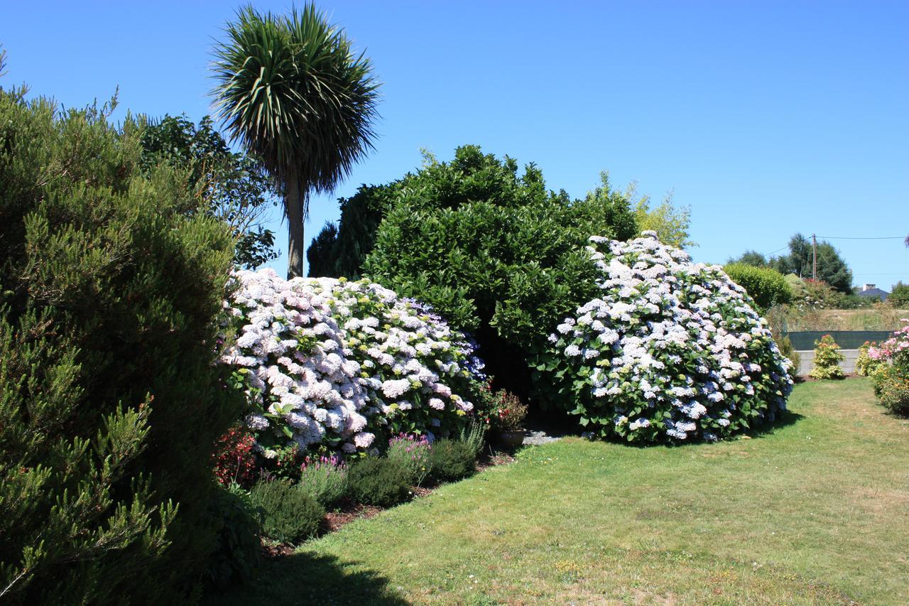 Les Camelias Bed and Breakfast Binic Εξωτερικό φωτογραφία